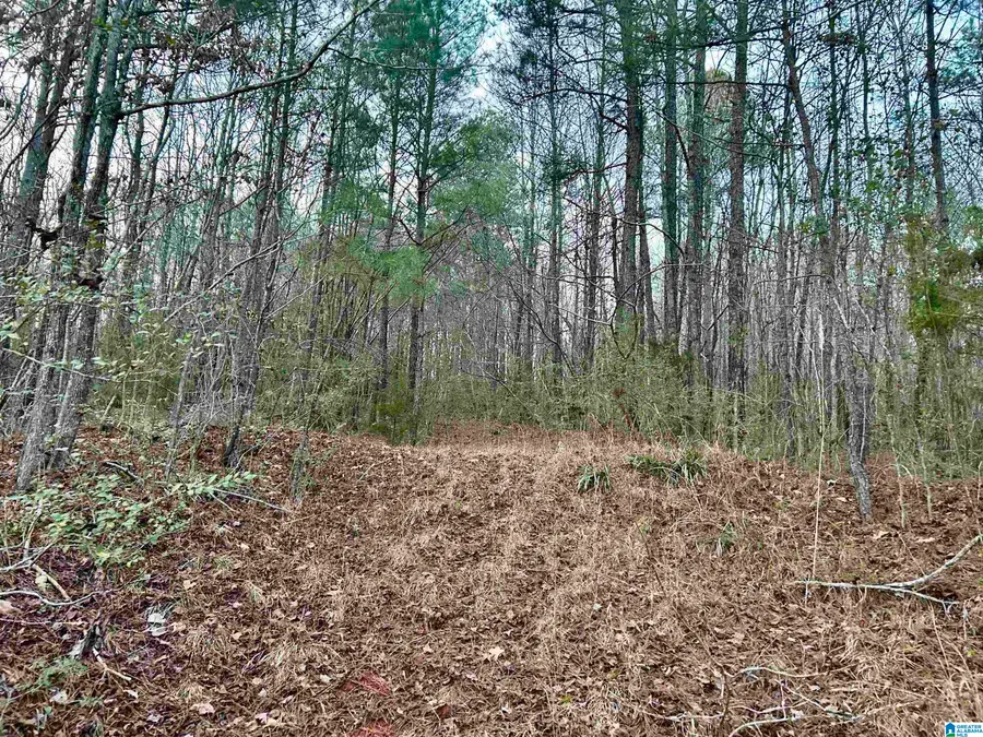 0 HILL STREET, Odenville, AL 35120 - #2