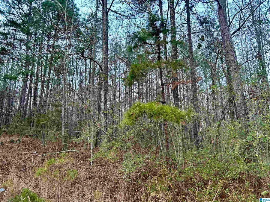 0 HILL STREET, Odenville, AL 35120 - #3