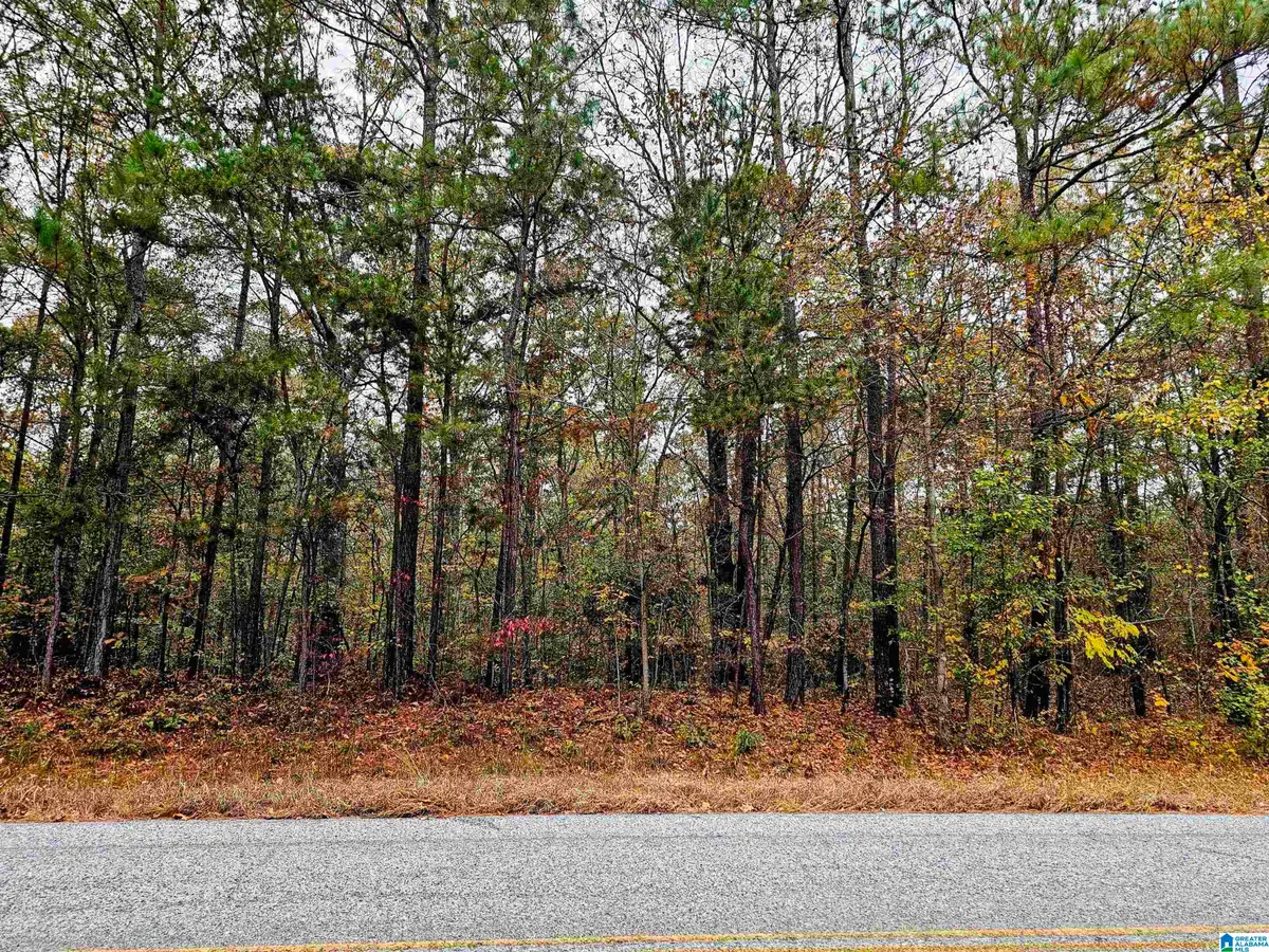 UNKN COUNTY ROAD 60, Heflin, AL 36264 - Image #1