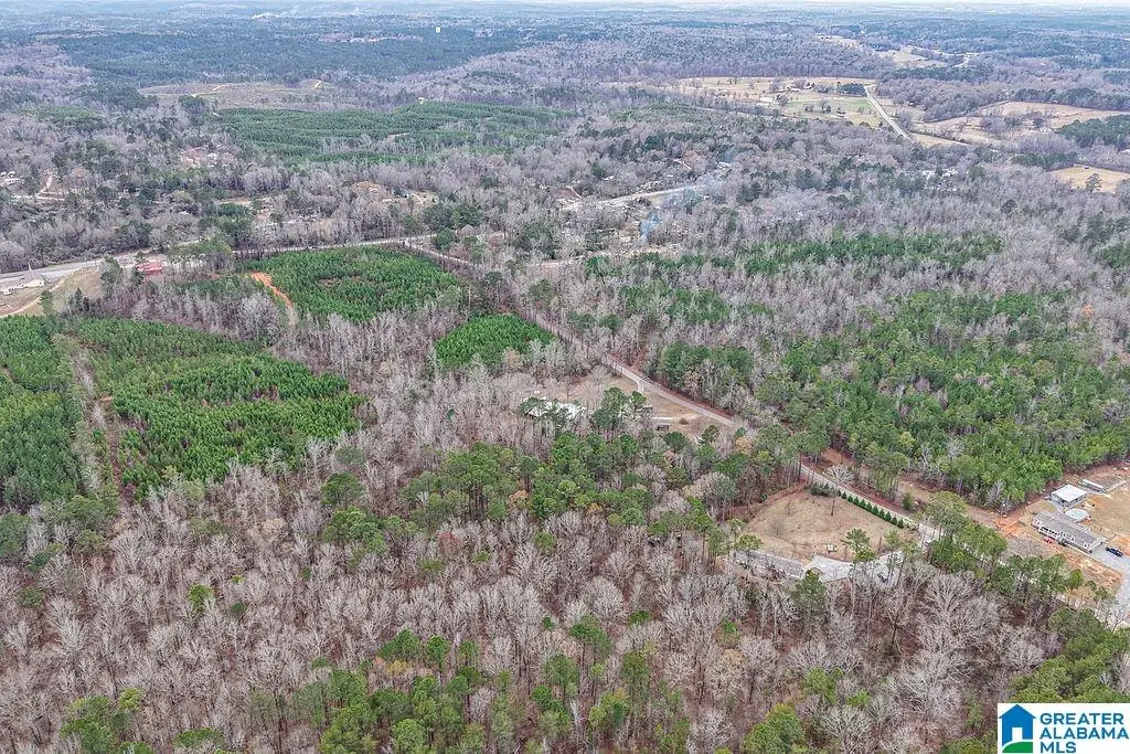 342 HIGHWAY 305, Columbiana, AL 35051 - Image #1