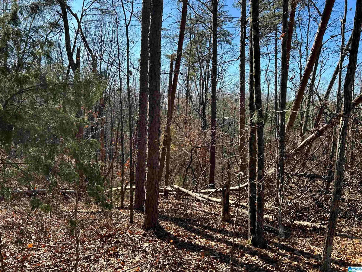 113 N HIGHLAND DRIVE, Columbiana, AL 35051 - #1