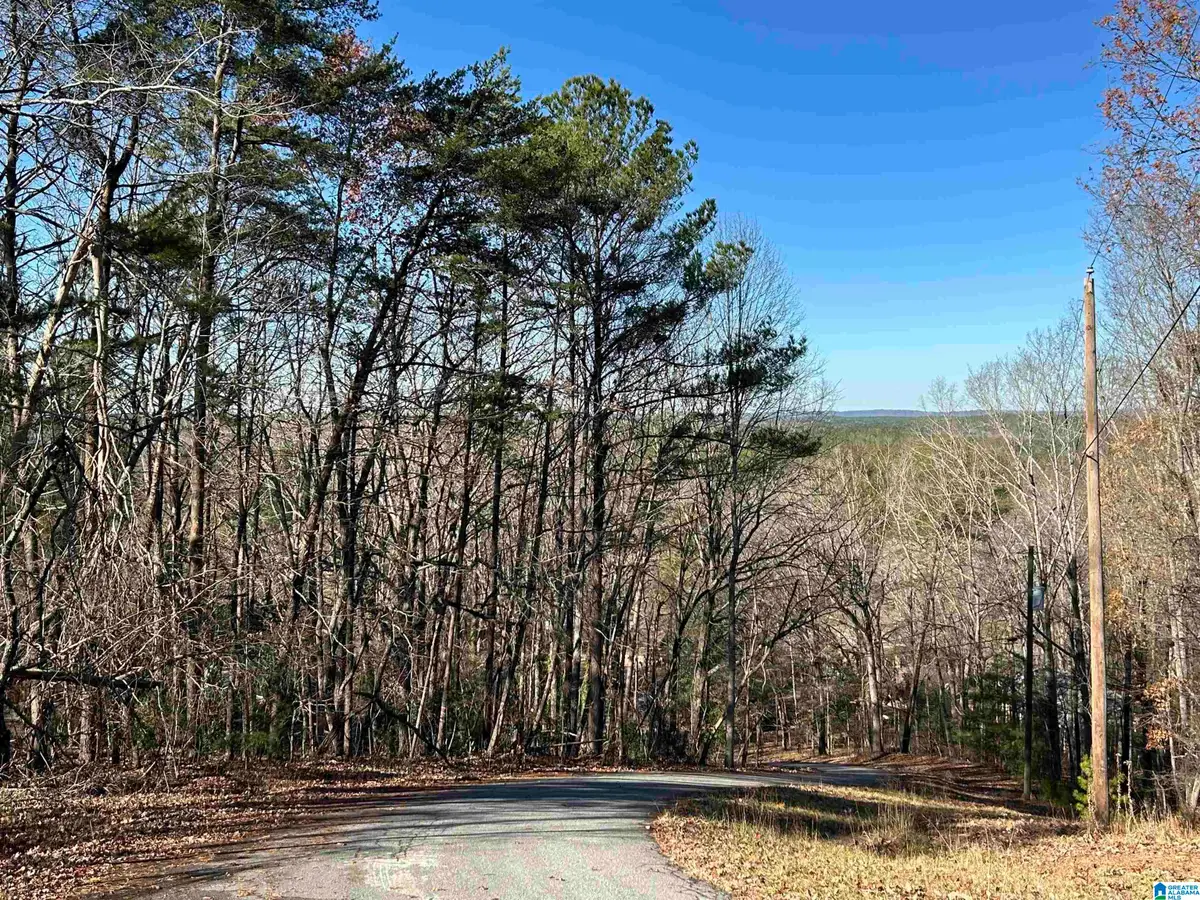 111 N HIGHLAND DRIVE, Columbiana, AL 35051 - #1