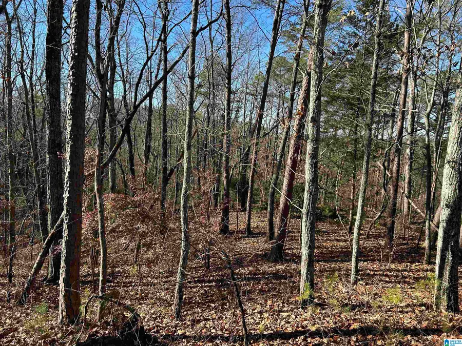 111 N HIGHLAND DRIVE, Columbiana, AL 35051 - #2