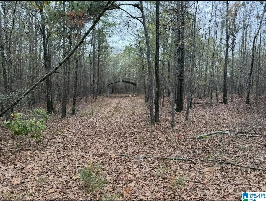 32 N COUNTY ROAD, Marbury, AL 36051 - #2