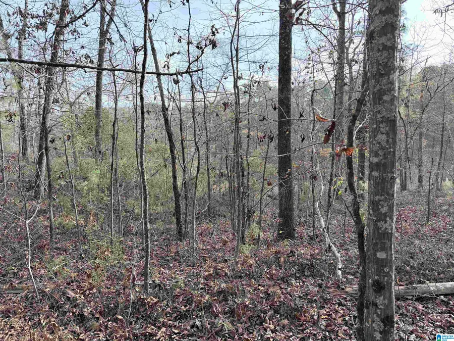 0 AEPEAN WAY, Alpine, AL 35014 - #2