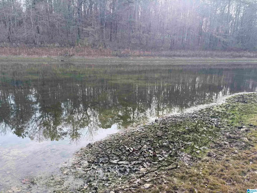 0 AEPEAN WAY, Alpine, AL 35014 - #3