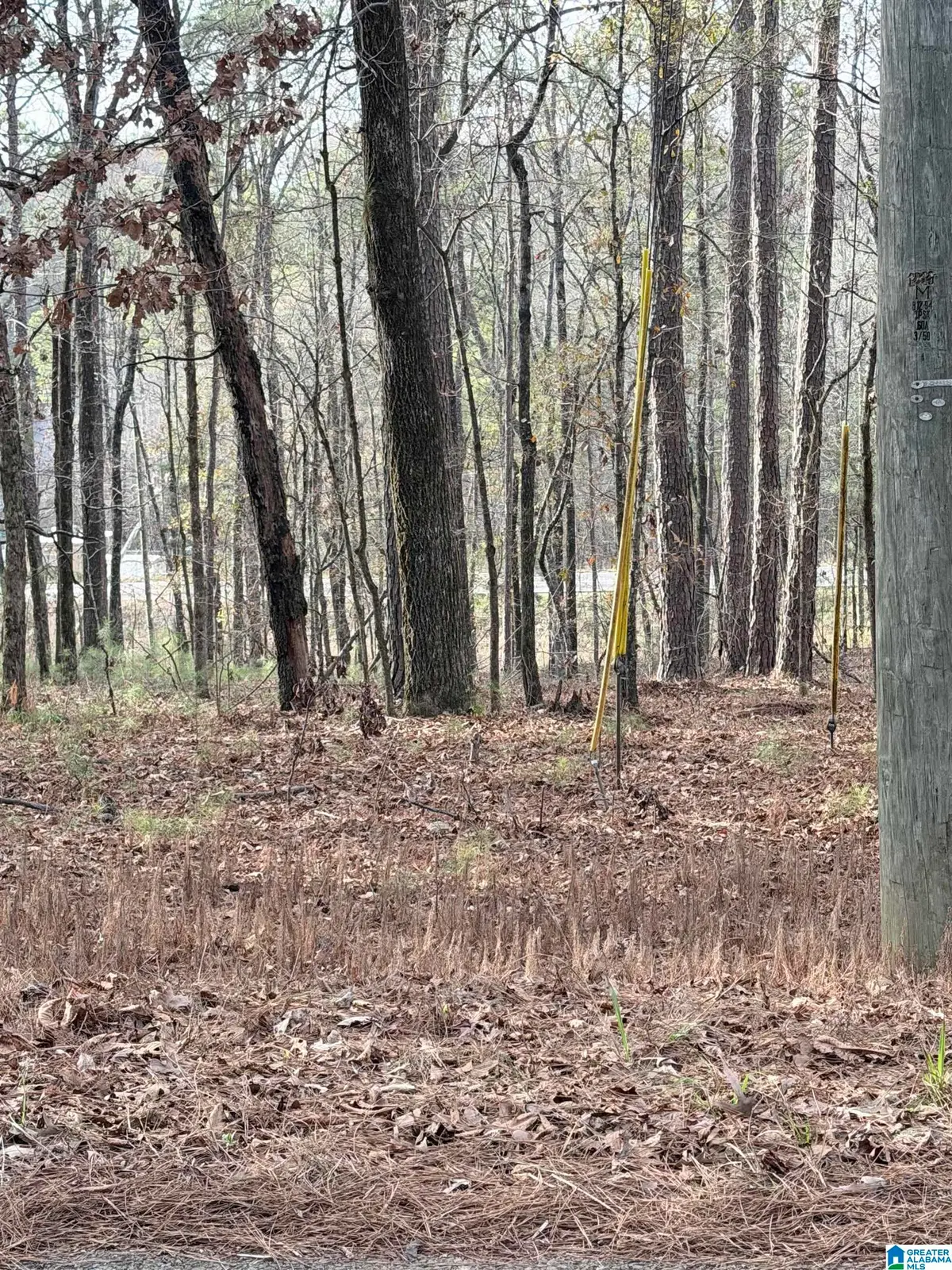 0 RENFROE ROAD, Alpine, AL 35014 - #1