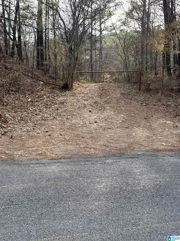 0 APOLLO DRIVE, Alpine, AL 35014