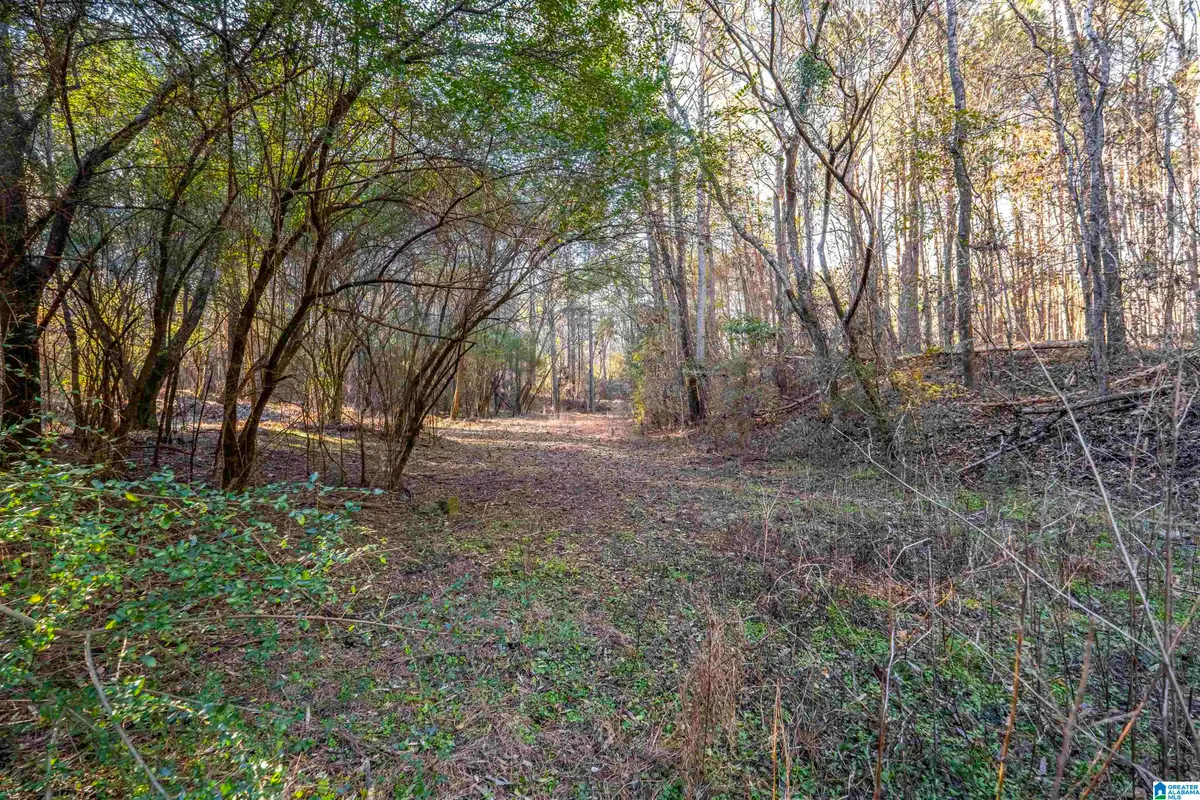 2040 BROOKSIDE ROAD, Mount Olive, AL 35117 - #1