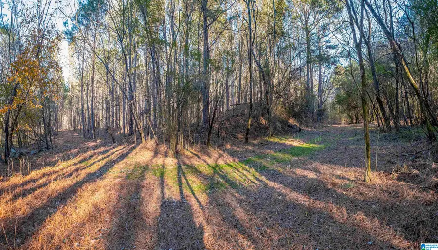 2040 BROOKSIDE ROAD, Mount Olive, AL 35117 - #2