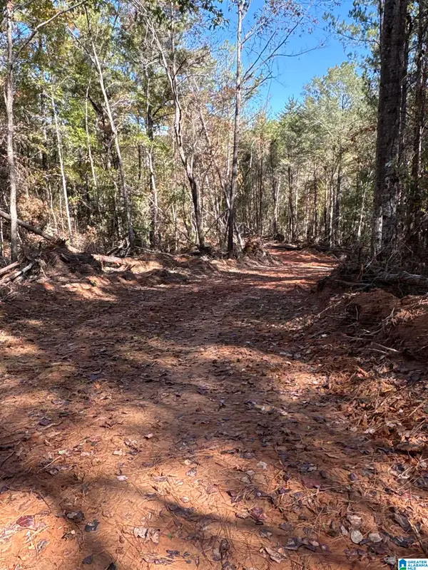 0 COUNTY ROAD 9, West blocton, AL 35184