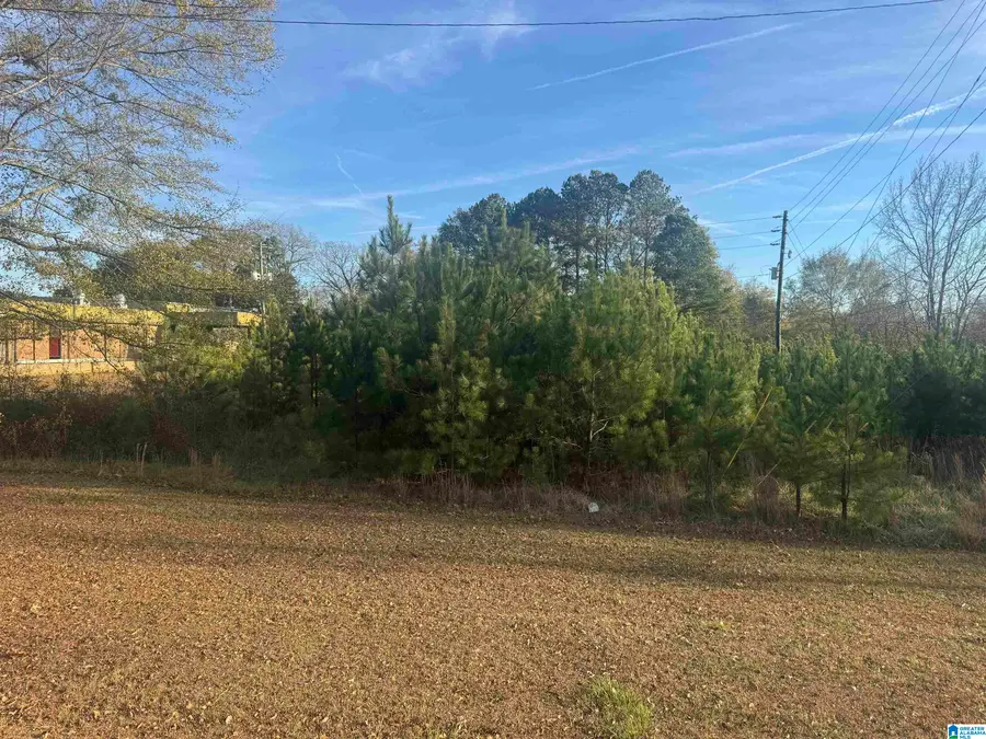 0 HIGHWAY 78 W, Oxford, AL 36203 - #2