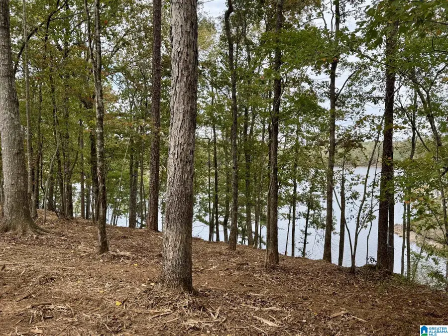 DANCING WATERS WAY, Wedowee, AL 36278 - Image #2