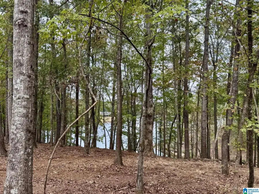 DANCING WATERS WAY, Wedowee, AL 36278 - Image #3