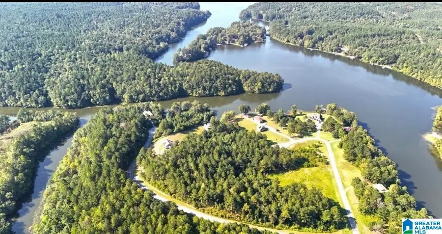 PAINT CREEK LANE, Sylacauga, AL 35151 - Image #3