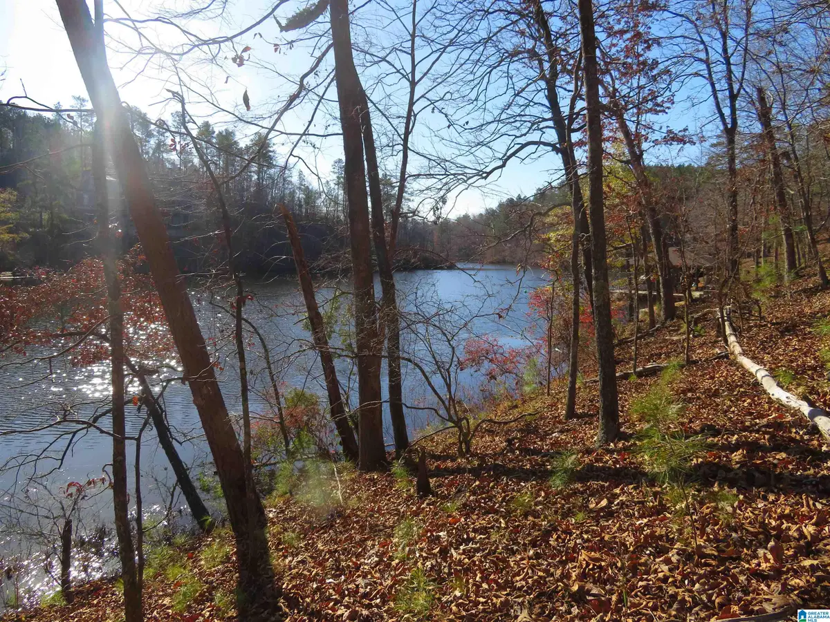 Lot 4 COVE DRIVE, Rockford, AL 35136 - Image #1