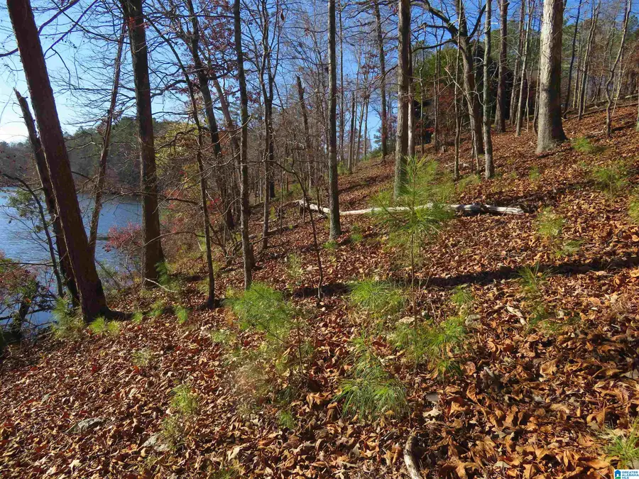 Lot 4 COVE DRIVE, Rockford, AL 35136 - Image #2