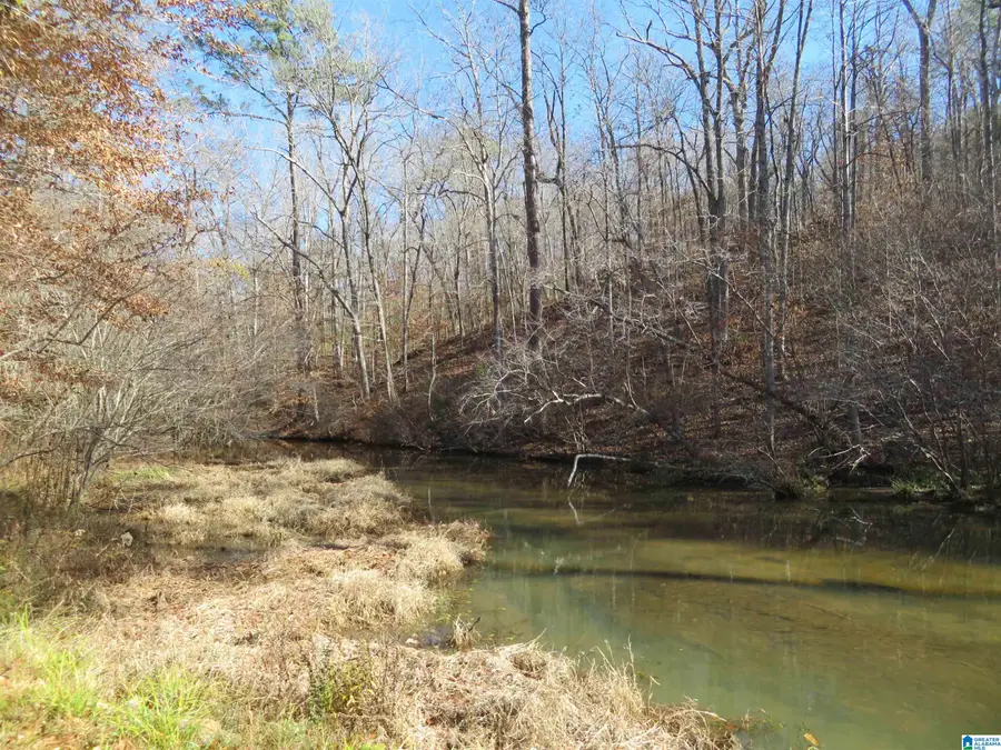 Lots 201, 202, BIG Y COVE LOOP, Rockford, AL 35136 - Image #2