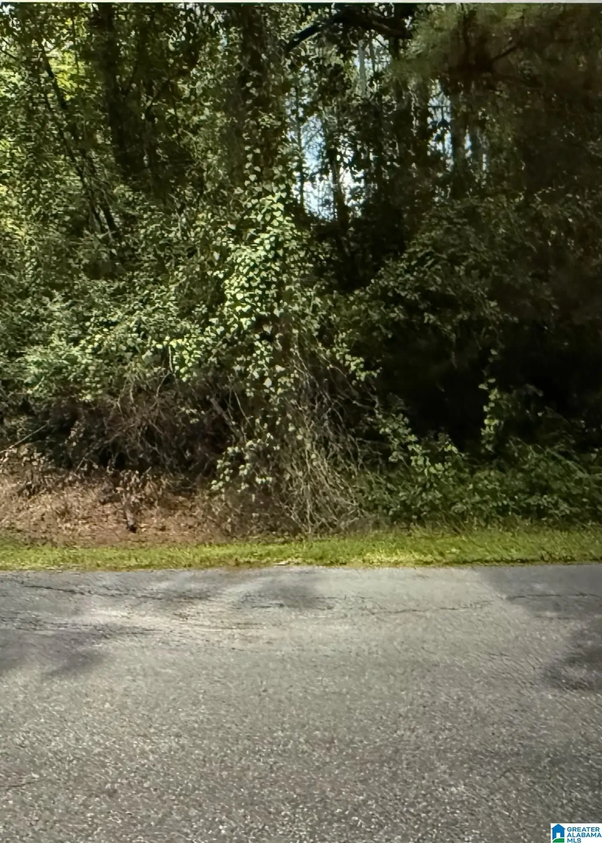 LOT 37 WOODSIDE STREET, Childersburg, AL 35044 - Image #1