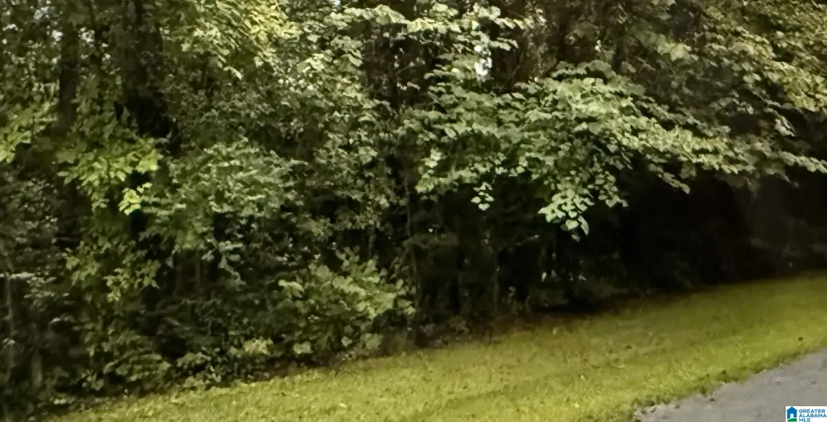 LOT 30 CANAL STREET, Childersburg, AL 35044 - Image #1