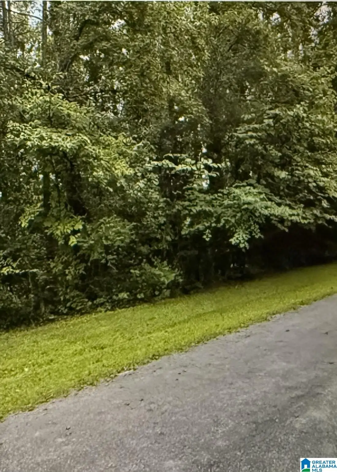 LOT 32 WOODSIDE STREET, Childersburg, AL 35044 - Image #1