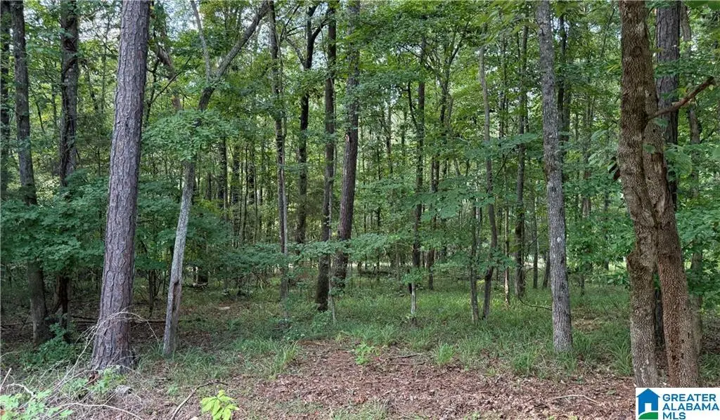 0 BRIDEWELL CIRCLE, McCalla, AL 35111 - Image #1