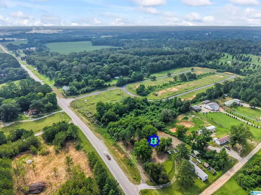 5784 HIGHWAY 25, Montevallo, AL 35115 - Image #3