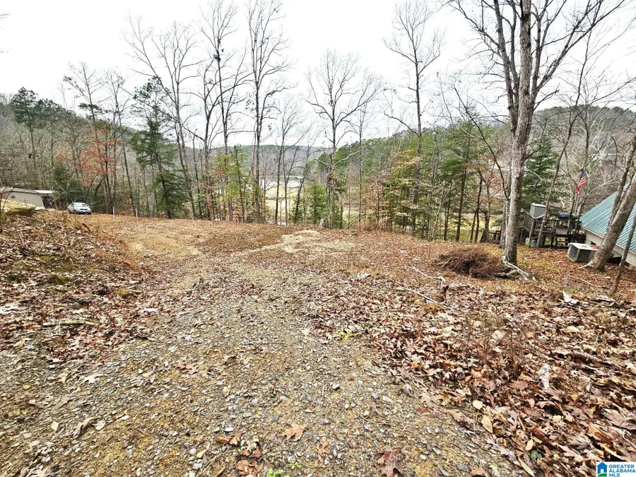 458 COUNTY ROAD 4036, Arley, AL 35541 - Image #2