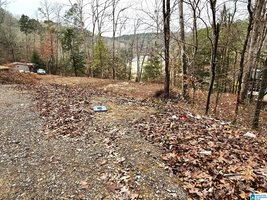 458 COUNTY ROAD 4036, Arley, AL 35541 - Image #3