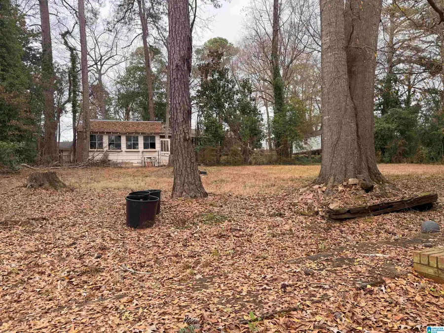 646 MICKLE DRIVE, Roanoke, AL 36274 - Image #3