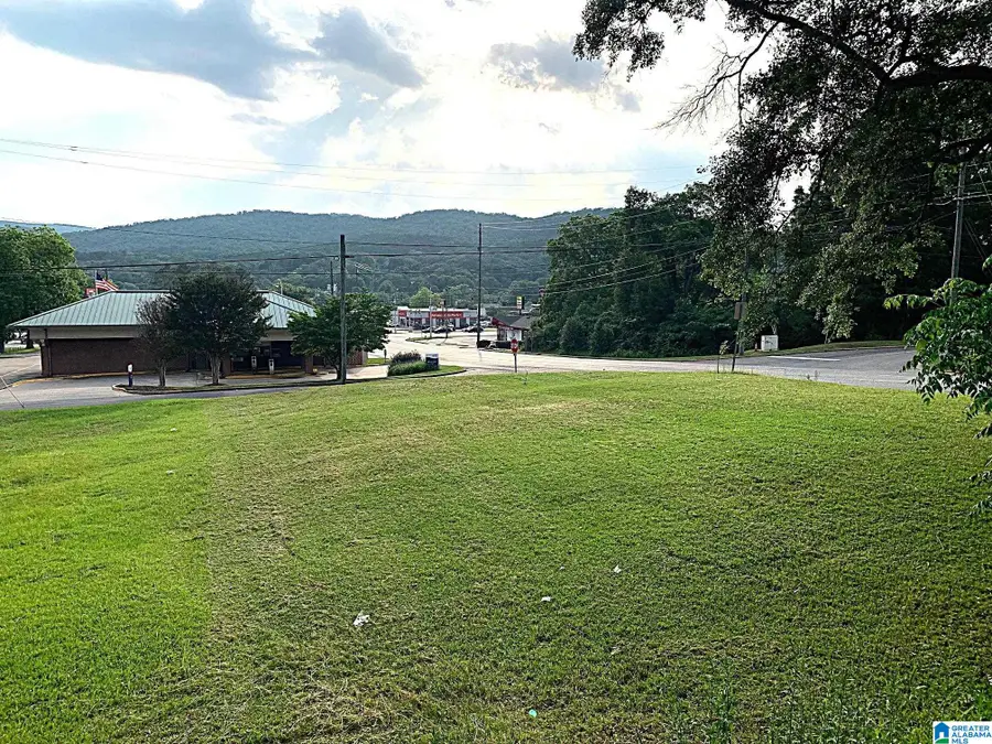 302 GREENBRIER DEAR ROAD, Anniston, AL 36207 - Image #3