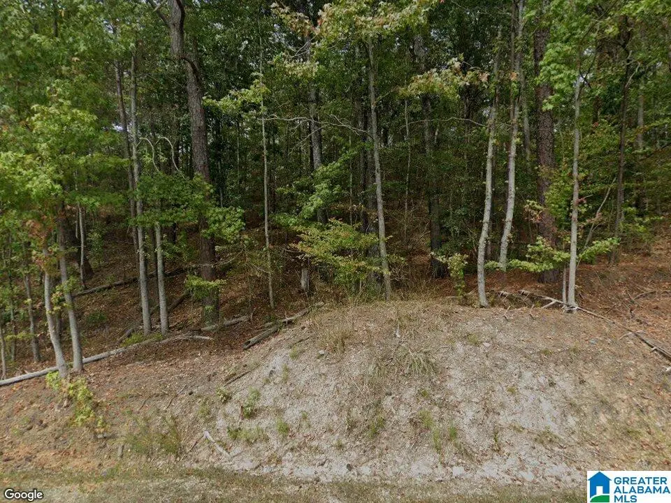 15065 LOCK 17 ROAD, Adger, AL 35006 - Image #1