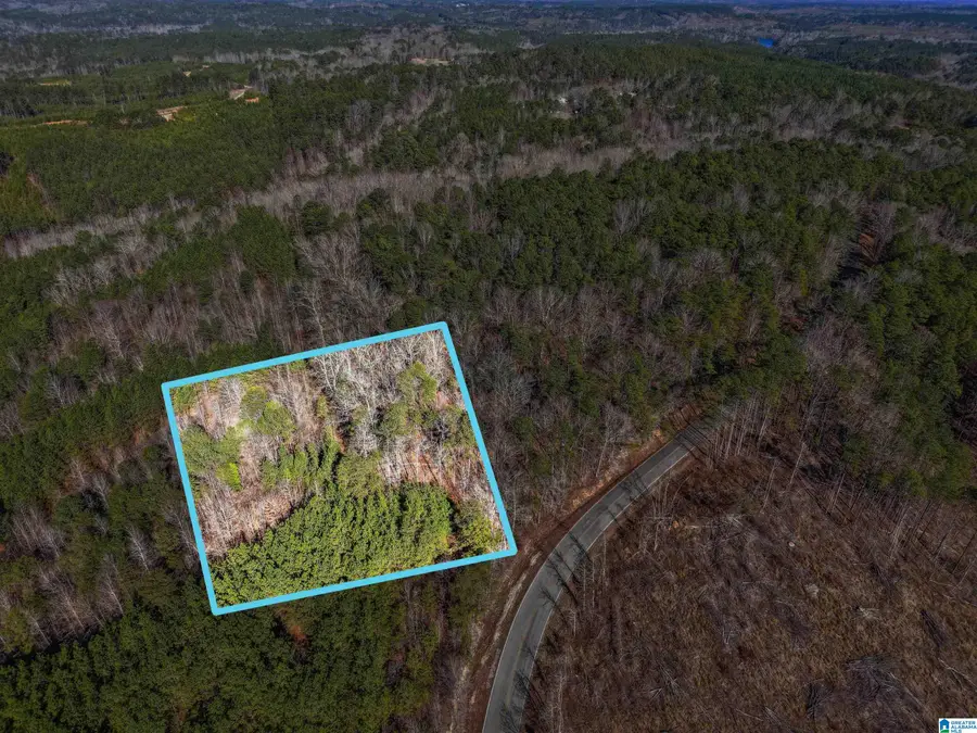 15065 LOCK 17 ROAD, Adger, AL 35006 - #2