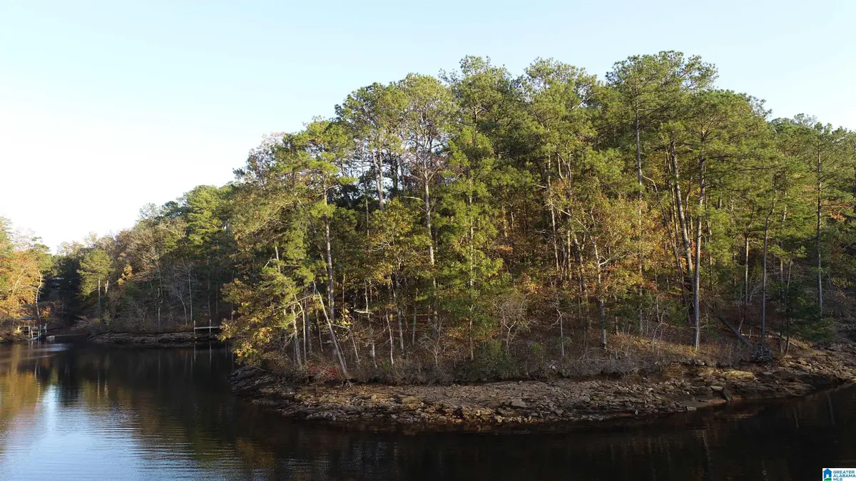 01 COUNTY ROAD 804, Wedowee, AL 36278 - Image #1