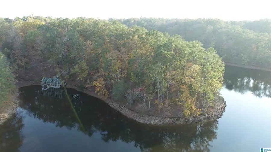 01 COUNTY ROAD 804, Wedowee, AL 36278 - Image #2