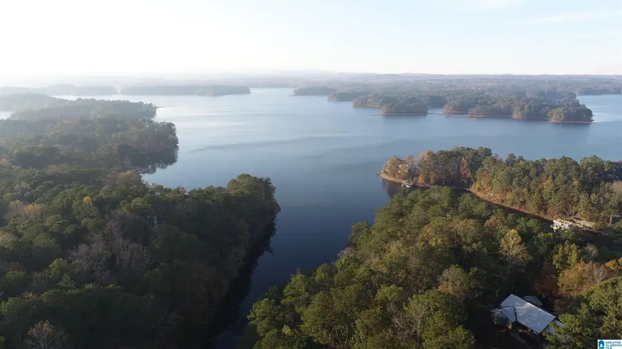 01 COUNTY ROAD 804, Wedowee, AL 36278 - Image #3