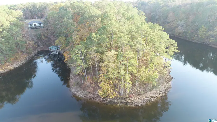 02 COUNTY ROAD 804, Wedowee, AL 36278 - Image #2