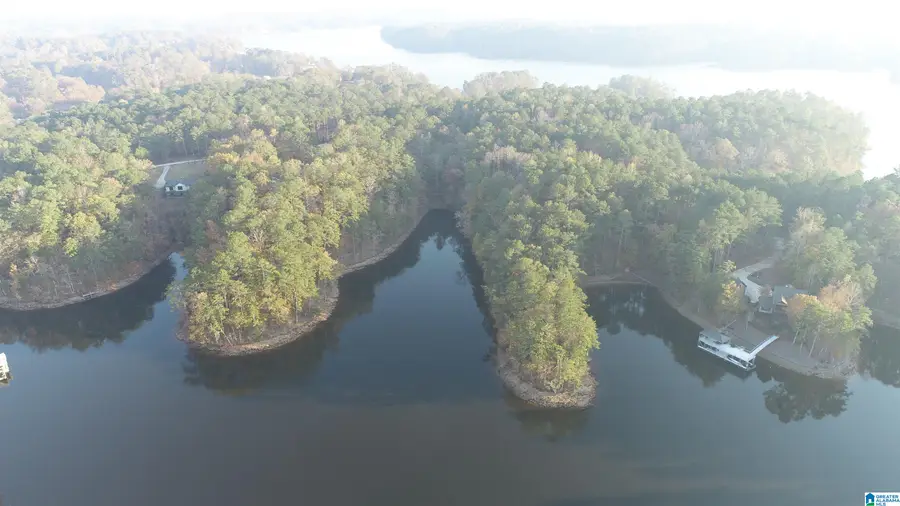 3 COUNTY ROAD 804, Wedowee, AL 36278 - Image #2