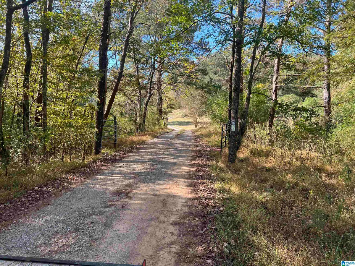 359 COUNTY ROAD 511, Hanceville, AL 35077 - Image #1
