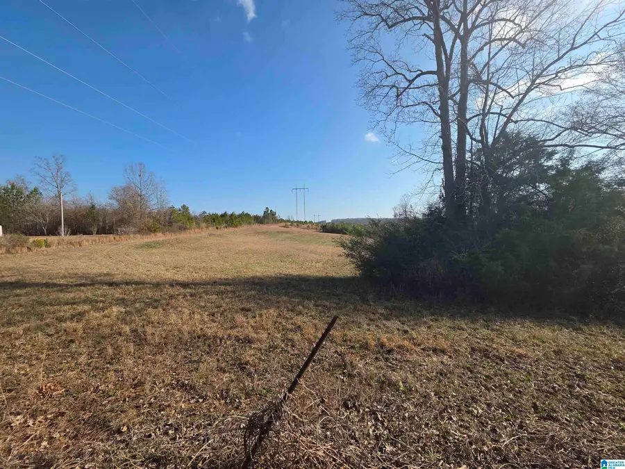 0 COUNTY ROAD 281, Lineville, AL 36266 - Image #3