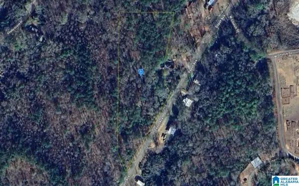 209 DEPOT AVENUE, Jacksons gap, AL 36861