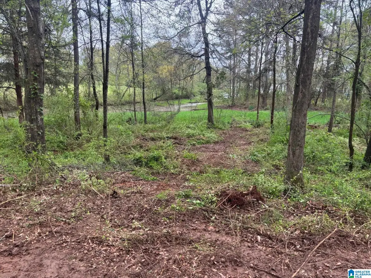 2318 ANNESLEY DRIVE, Pell City, AL 35128 - Image #1