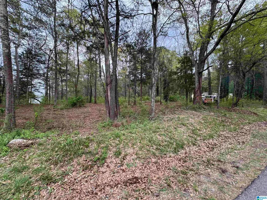 2318 ANNESLEY DRIVE, Pell City, AL 35128 - Image #3