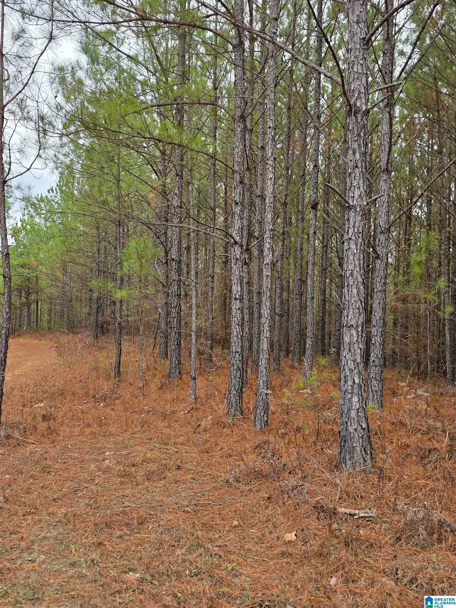 12B HIGHWAY 69, Chelsea, AL 35043 - #2