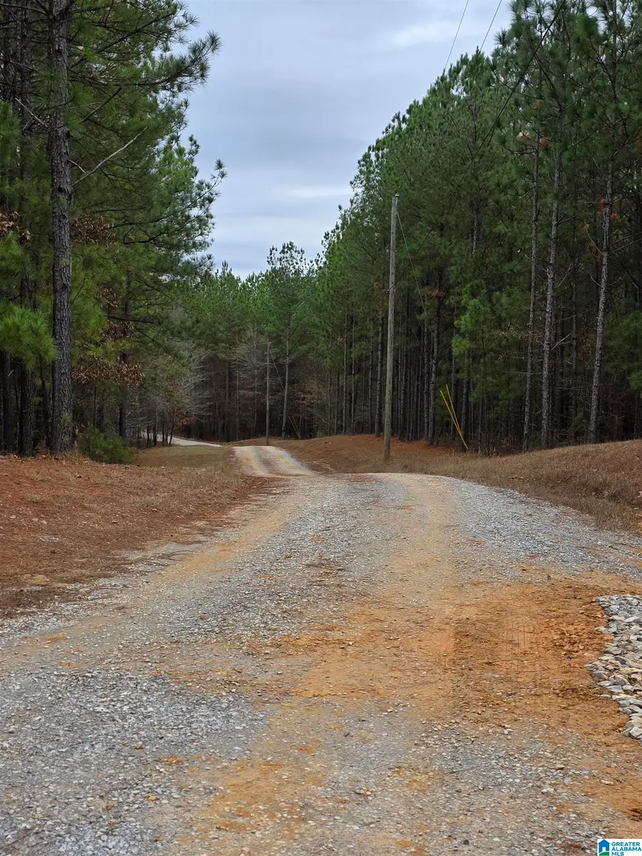 12B HIGHWAY 69, Chelsea, AL 35043 - #3