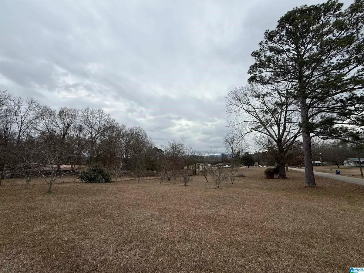 837 BECK ROAD, Eastaboga, AL 36260 - Image #1