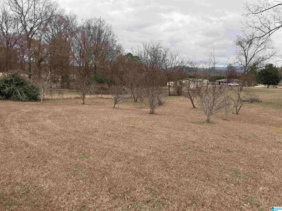 837 BECK ROAD, Eastaboga, AL 36260 - Image #2