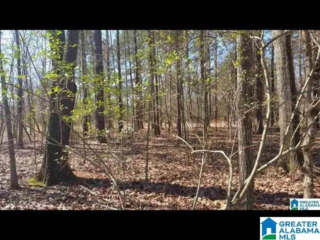 0 MORNING GLORY CIRCLE, Talladega, AL 35160 - Image #1