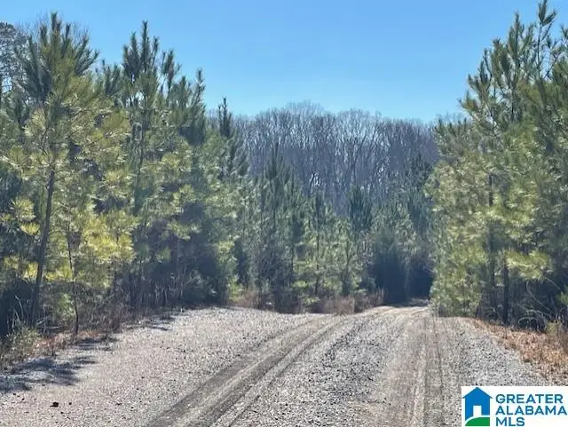 SANSING CIRCLE, Woodstock, AL 35188 - Image #1