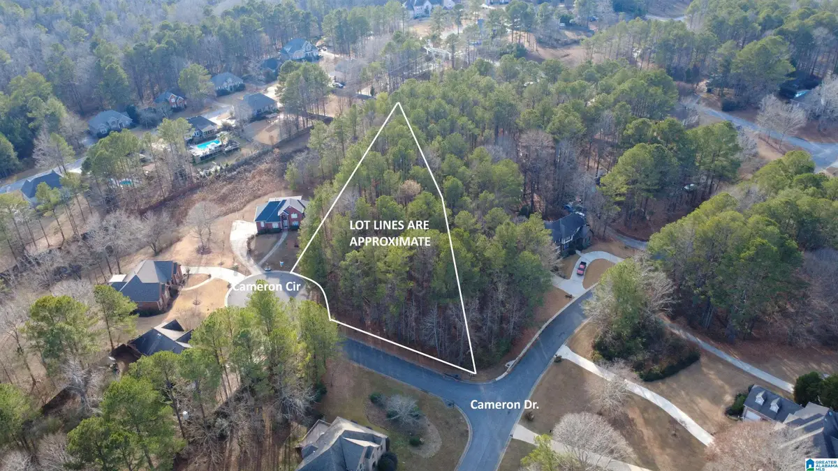 200 CAMERON CIRCLE, Chelsea, AL 35043 - #1